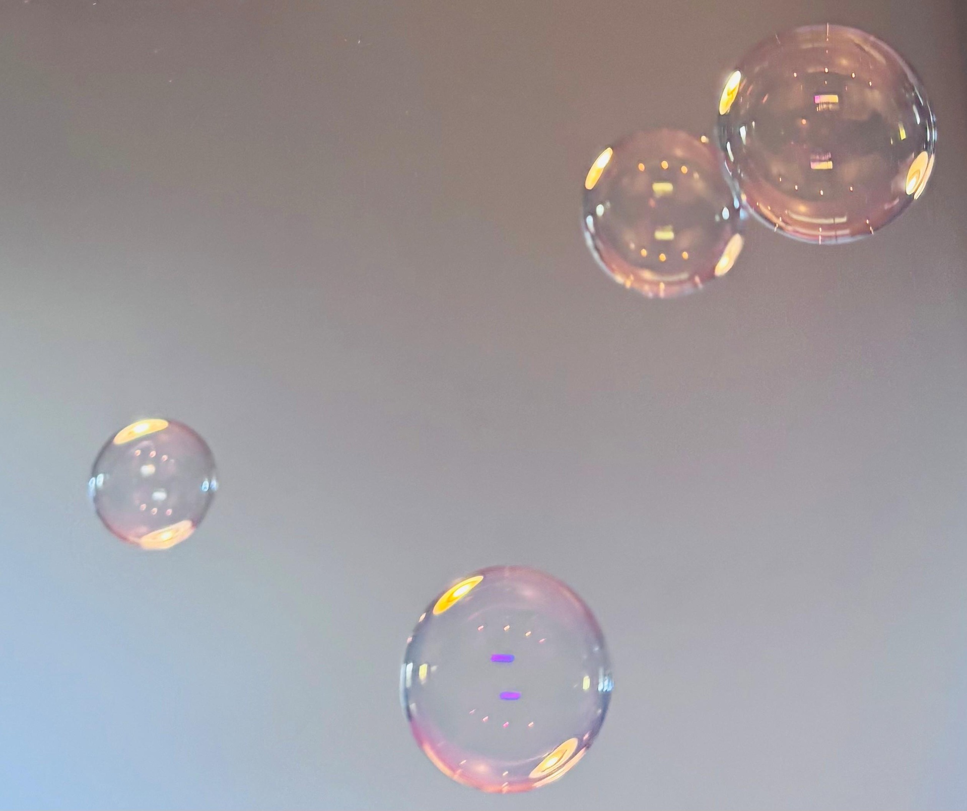 Atelier pour enfants – Salut, ça bulle ?