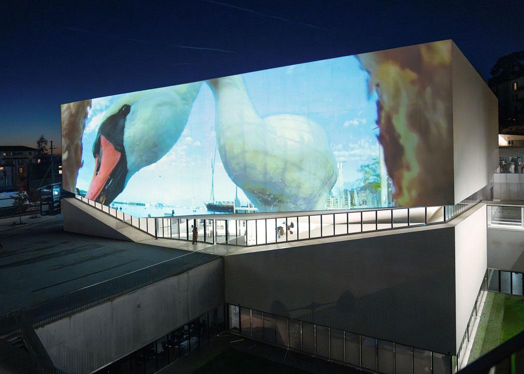 Projections XXL Photo Elysée × ECAL